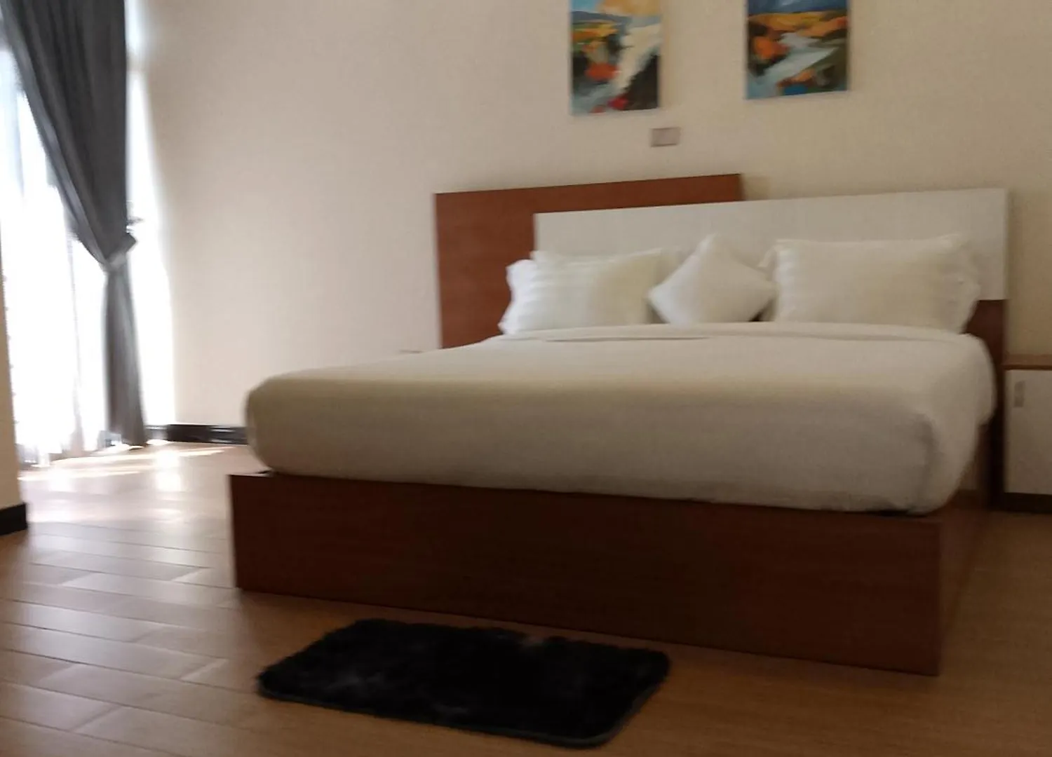 Hidsol Apartment Addis Ababa Guest house