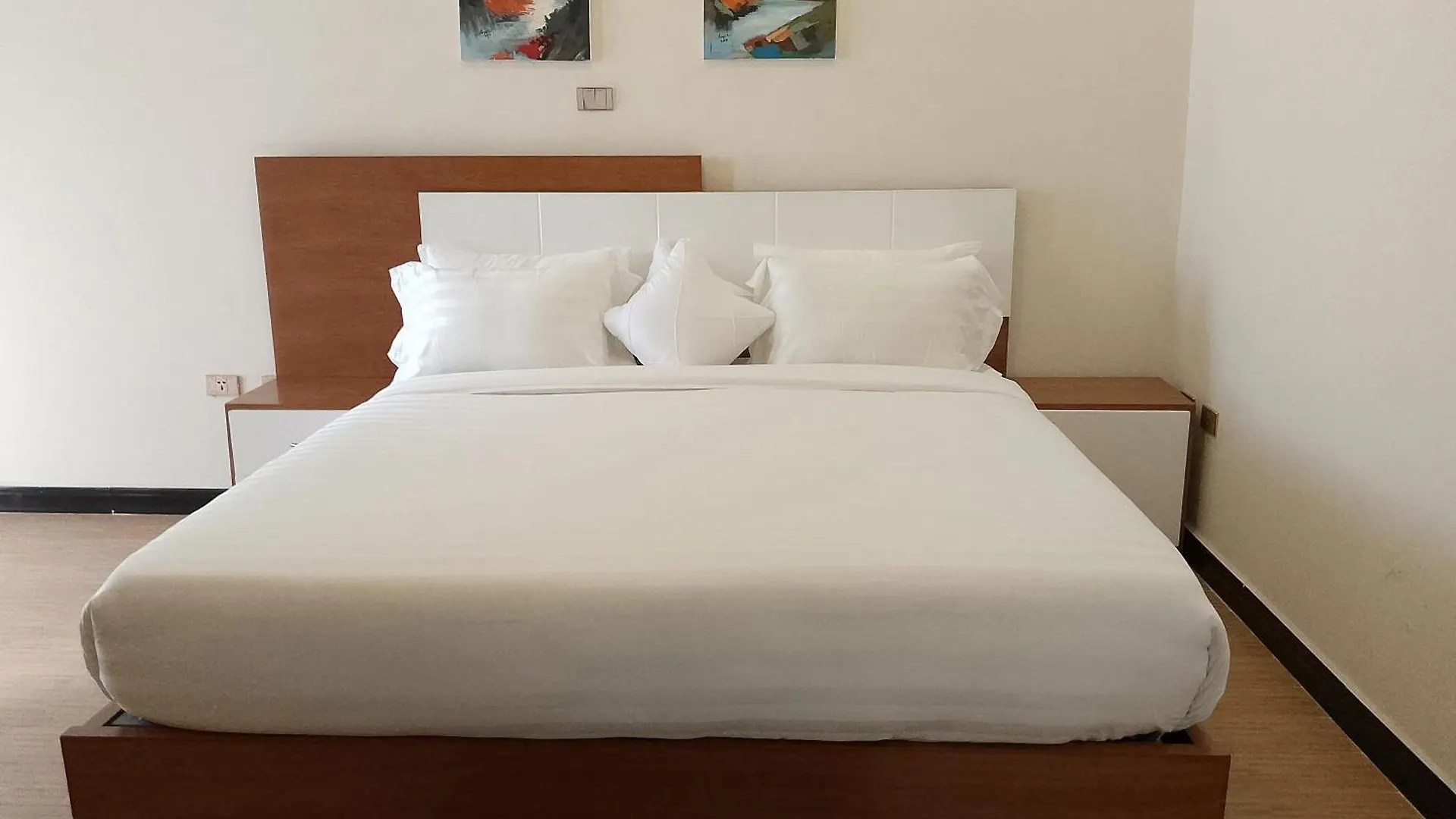 Hidsol Apartment Addis Ababa Guest house