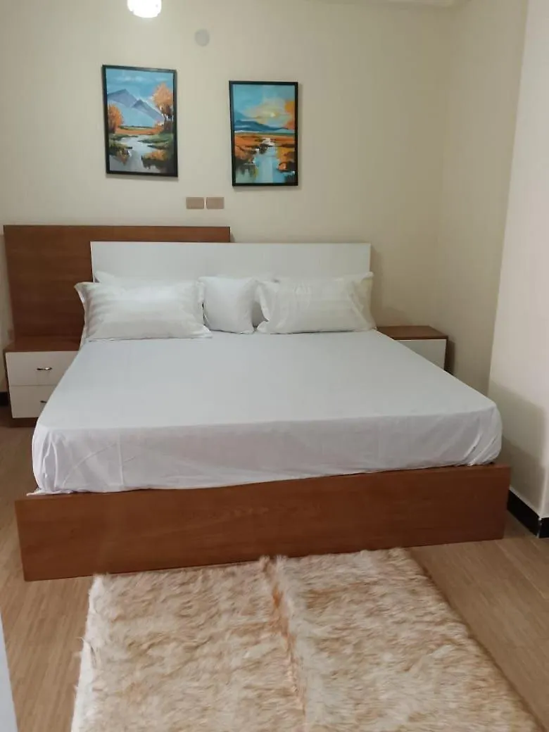 Hidsol Apartment Addis Ababa Guest house